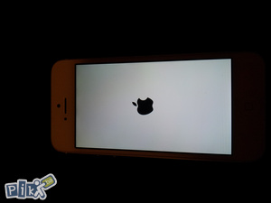 Iphone 5