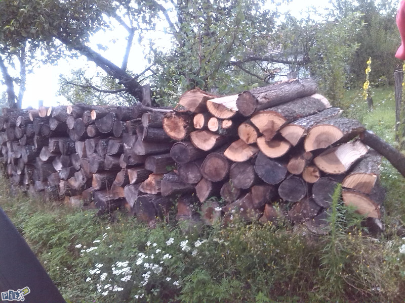 Prodaja Drva i susike (pogodna za potpalu)