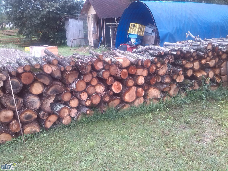 Prodaja Drva i susike (pogodna za potpalu)