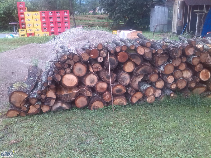 Prodaja Drva i susike (pogodna za potpalu)