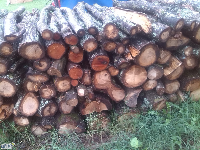 Prodaja Drva i susike (pogodna za potpalu)