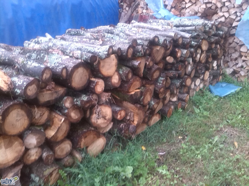 Prodaja Drva i susike (pogodna za potpalu)