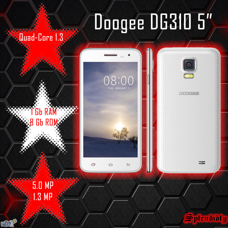 Doogee DG310