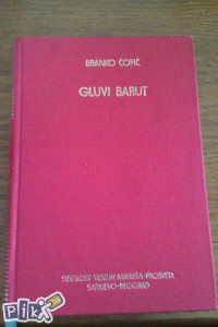 Gluvi barut / Branko Ćopić