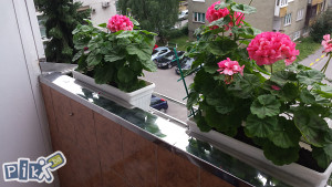 Cvjecnjaci i klupice od inoxa + inox ograde