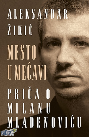 Aleksandar Žikić – Mesto u mećavi
