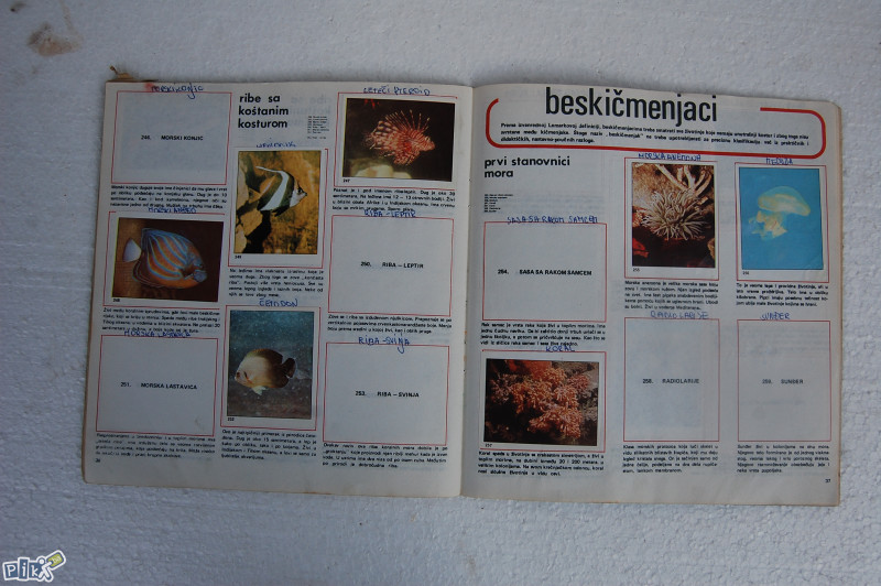 U svetu životinja / Figurine Panini (popunjenost 39%)