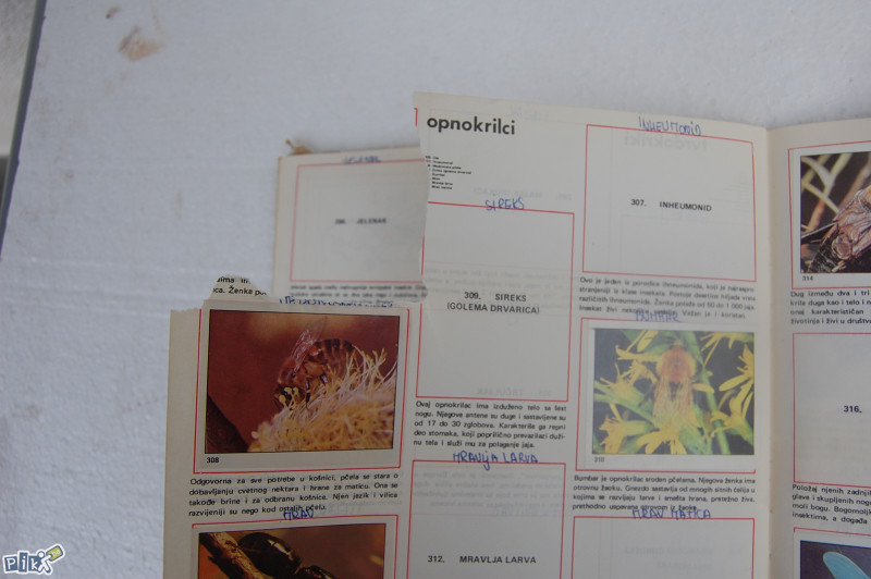 U svetu životinja / Figurine Panini (popunjenost 39%)