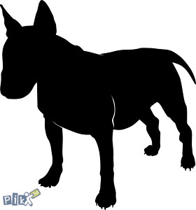 Bull terrier naljepnica naljepnice